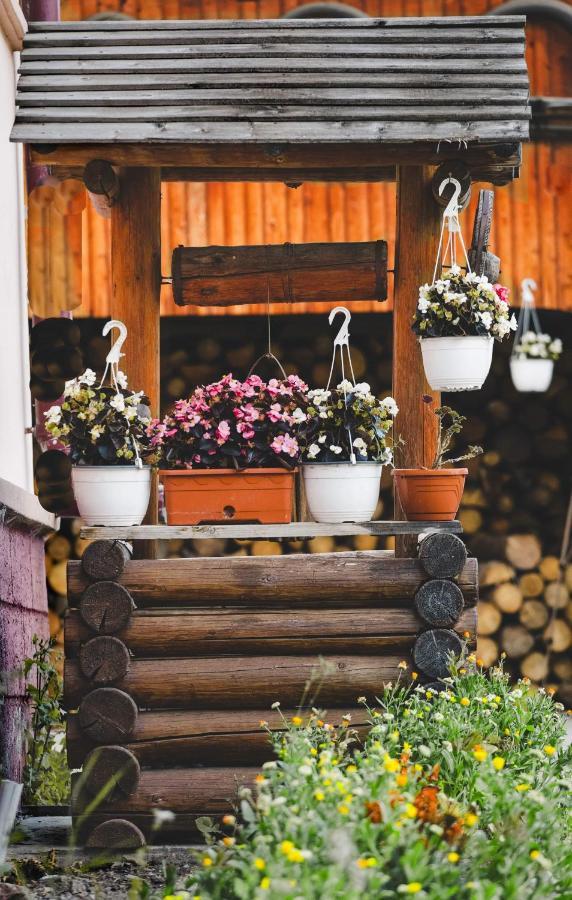 Pensiunea Viorica Fundu Moldovei Buitenkant foto