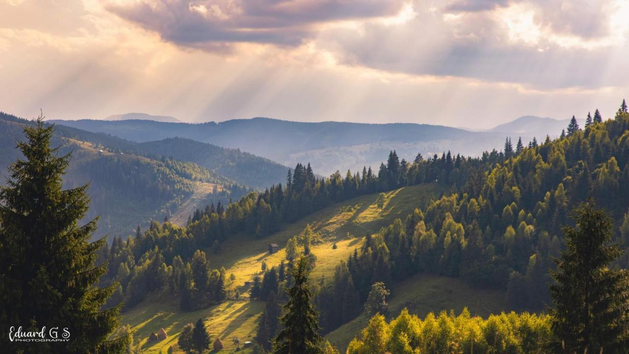 Pensiunea Viorica Fundu Moldovei Buitenkant foto
